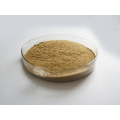 Hot Selling Natural Seaweed Extract Powder